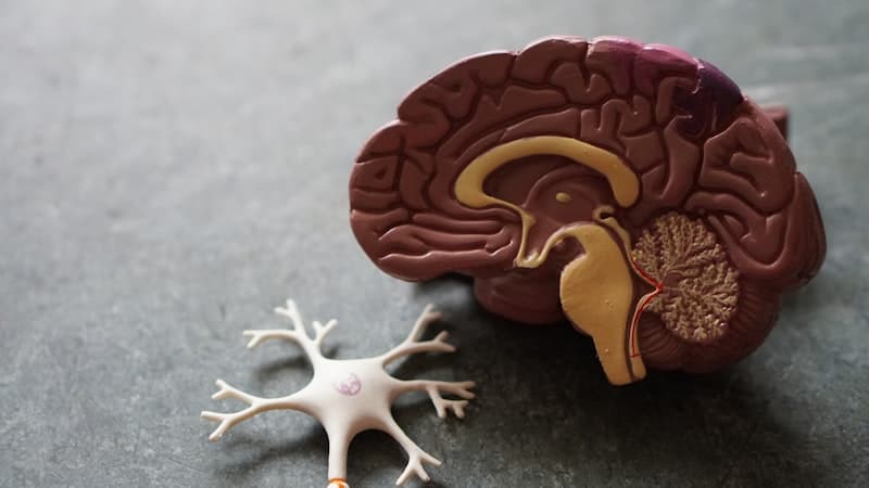 When AI Connected the Dots: How AhaTherapy Uncovered a Hidden Diagnosis