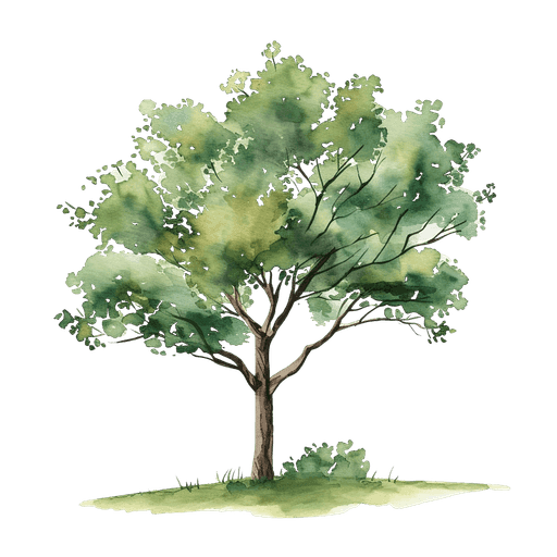 Decorative plant illustration